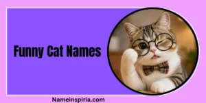 Funny Cat Names