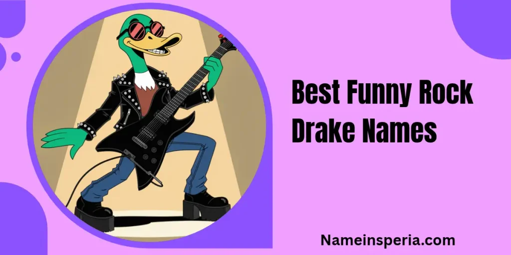 Best Funny Rock Drake Names