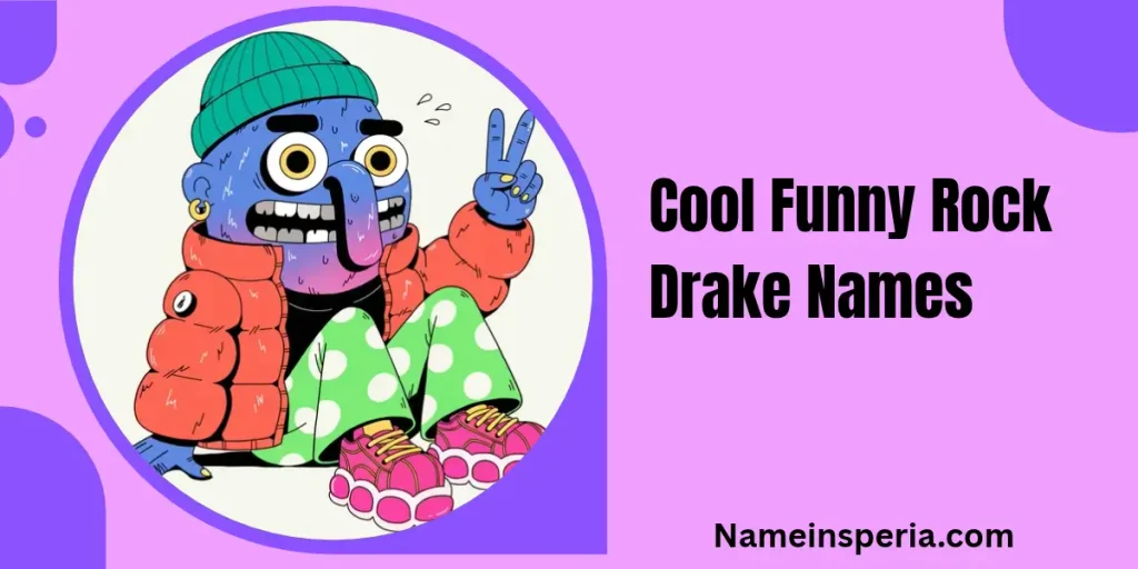 Cool Funny Rock Drake