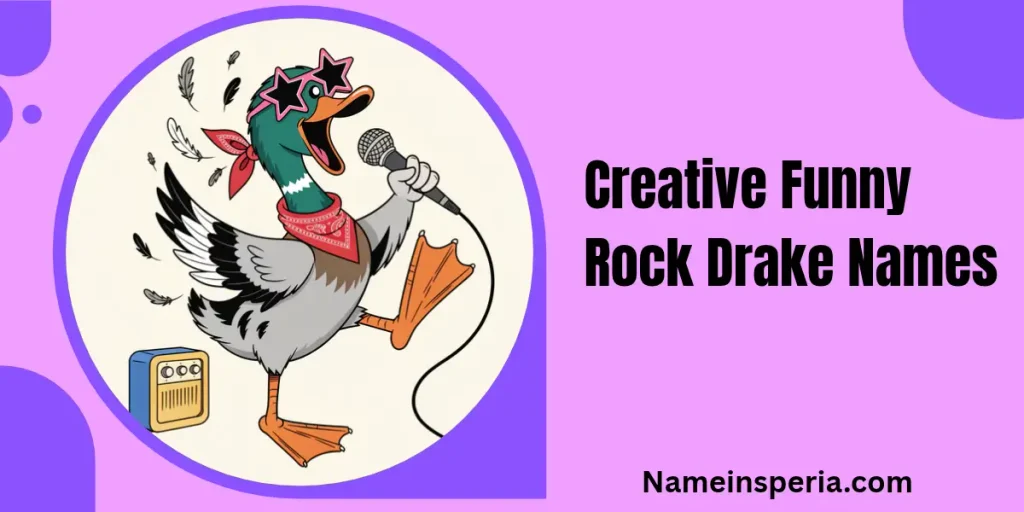 Creative Funny Rock Drake Names