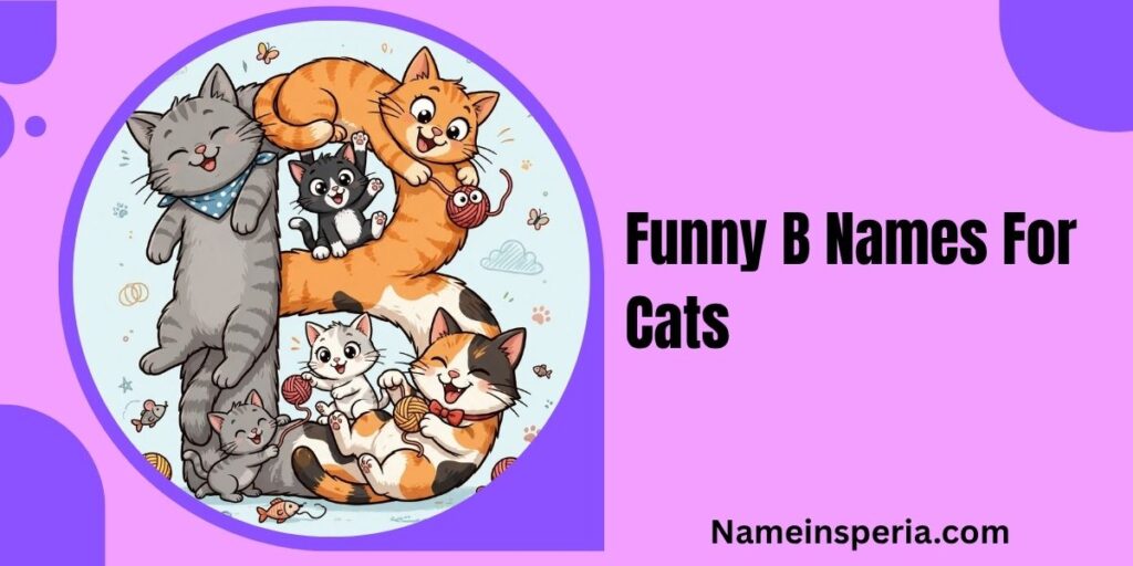 Funny B Names For Cats