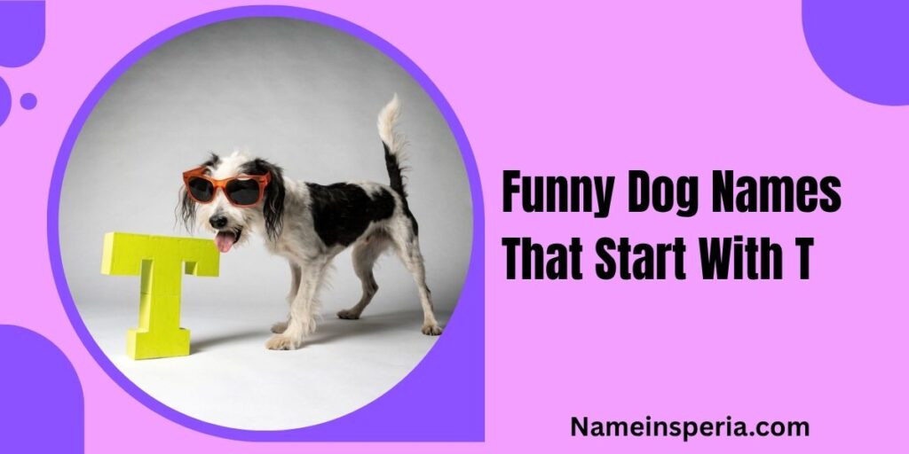 Funny Dog Names That Start With T