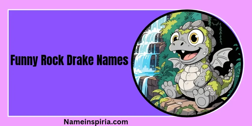 Funny Rock Drake Names
