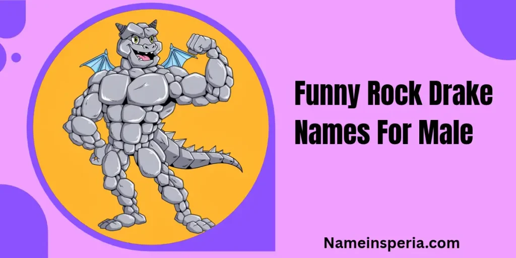 Funny Rock Drake Names For Male