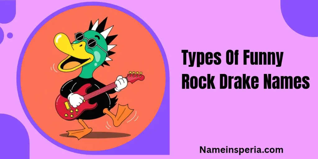 Types Of Funny Rock Drake Names